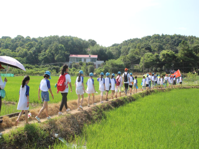 1661477635158202.png image.png